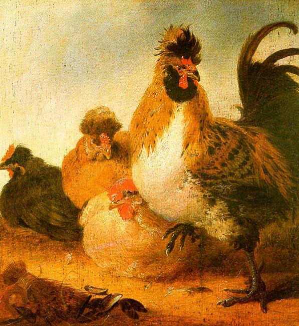 Aelbert Cuyp Rooster Hens Norge oil painting art